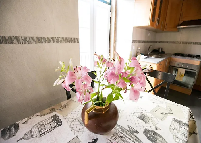Akicity Alfama Radiant 公寓 *