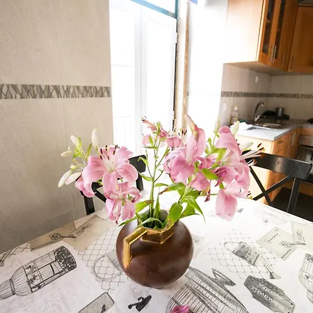 Akicity Alfama Radiant Appartement *